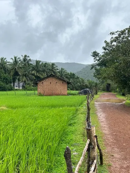 A classic rural scene: a mud road, a small house, and vibrant green fields under a cloudy sky.