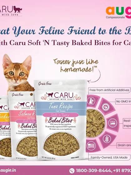 I love these Caru Soft 'N Tasty Baked Bites for cats. They come in Chicken, Salmon, and Tuna recipes and are made with real, USDA-inspected meat. They're grain-free and contain no artificial additives.