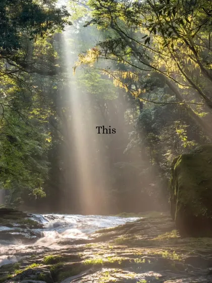 This is your sign. A magical sunbeam lighting up a forest stream. It's time to turn your travel wishes into reality.