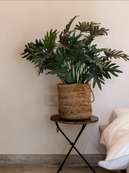 A simple and elegant decor detail, featuring a lush green plant in a woven jute planter. This small touch adds life and texture to a calm, minimalist corner of a room.