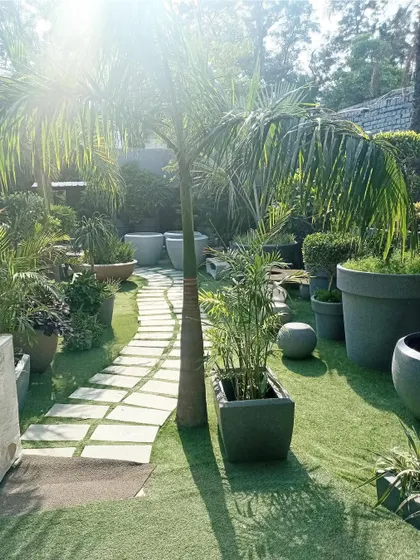A garden path at a farm in Ghitorni, lined with a variety of potted plants. The design includes a foxtail palm, bamboo, and other foliage plants in different sized pots to create a natural, curated feel.