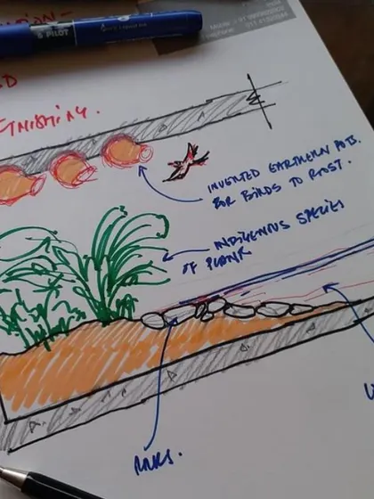 A detailed sketch for the People Tree House pond, outlining the use of indigenous plants, rocks, and inverted earthen pots to create a habitat for birds.