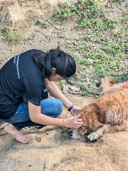 A gentle scratch and a quiet moment. This behind-the-scenes photo shows the care and affection we give to every animal we work with, ensuring they feel safe and cherished throughout the shoot.