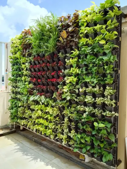 A beautiful example of a natural vertical garden on a balcony. I can create custom designs with different plants to achieve a unique look, and I'll give you a great quote for it.