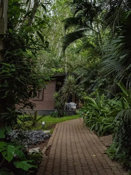 A view of a chalet pathway, showing how my accommodations are nestled deep within the surrounding greenery for privacy and tranquility.
