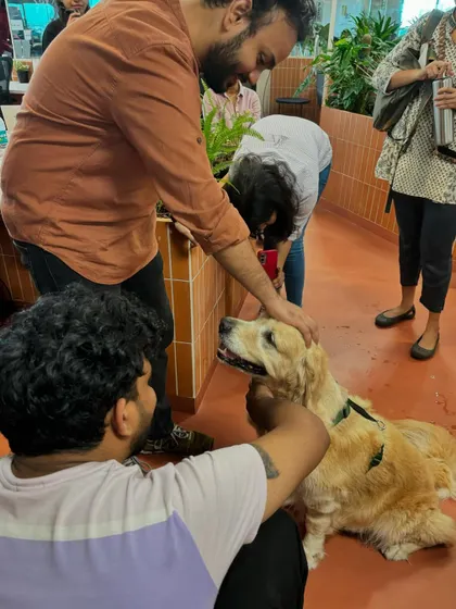 Look at that calm demeanor! Socialization training helps dogs feel comfortable and relaxed when meeting new people, making every interaction a positive one.