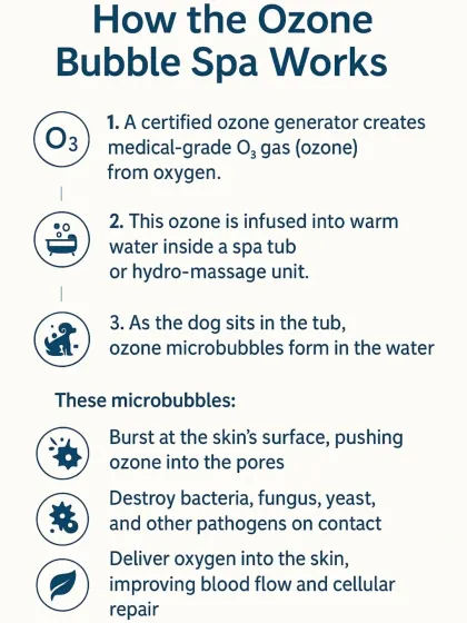 Here’s a step-by-step look at how the Ozone Bubble Spa works. A generator creates ozone, which is infused into the water, forming microbubbles that burst on the skin's surface to deliver healing oxygen and destroy pathogens.