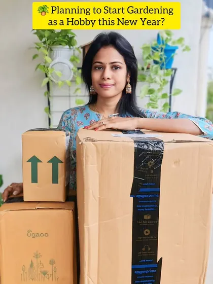 Planning to start gardening is an exciting step. I often get my supplies from Amazon, especially during their sales. Receiving these boxes filled with gardening essentials feels like the start of a new adventure, ready to create a green sanctuary at home.