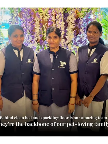Behind every clean bed and sparkling floor is our amazing housekeeping team. They are the backbone of our pet-loving family, ensuring our facility is always hygienic and comfortable.