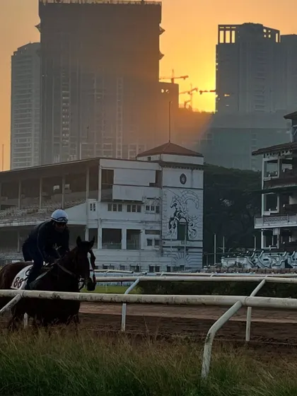The final mural seen from the racetrack at sunset. It's now a permanent part of the Mumbai skyline.