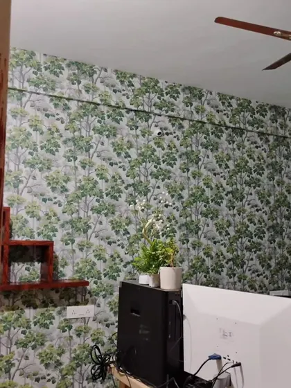 A study or workspace with a green forest wallpaper, bringing a sense of calm and nature to the room.