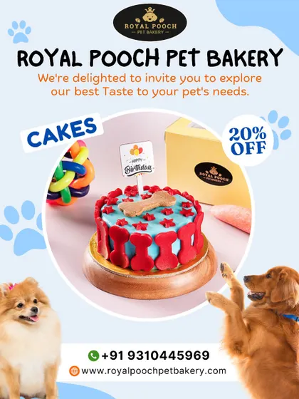 This vibrant blue and red cake is one of my most popular designs. It's decorated with bone-shaped biscuits, combining a fun look with a crunchy treat.