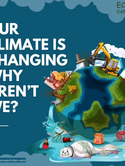 Our climate is changing, why aren't we? We provide comprehensive waste management solutions, green energy services, and expert consultancy to help you make a positive impact.