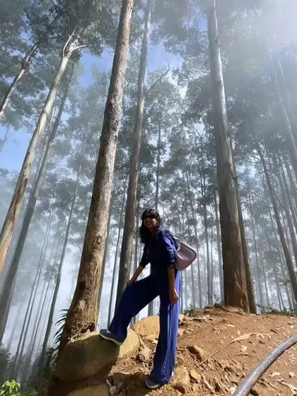 A duplicate of 90, this low-angle shot captures the majestic height of the trees and the adventurous spirit of the trip.