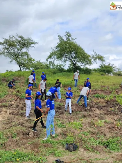 The Honeywell team working on a hillside in Pune. We often take on challenging terrains, and the enthusiasm of our corporate partners makes it possible to reforest these areas.