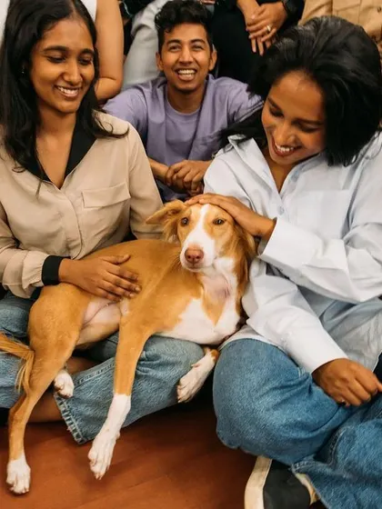 Team members sharing a happy moment with Steffi. Our office is a pet-friendly space, which adds so much joy.