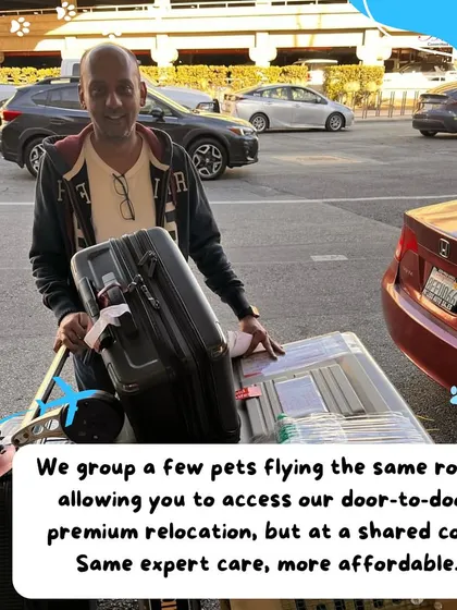Our Premium Shared Flights allow you to access our door-to-door premium service at a shared cost. We group a few pets flying the same popular route, like India to the USA or Canada, for a more affordable relocation.