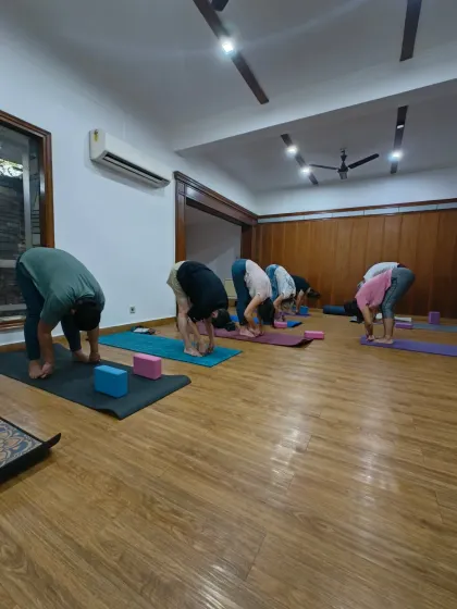 A Monday class moving into Uttanasana, the standing forward fold. This is a moment of surrender, letting the head hang heavy and releasing the entire back of the body.