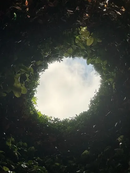 Another perspective from inside the installation, looking up at the sky through a circle of green leaves.