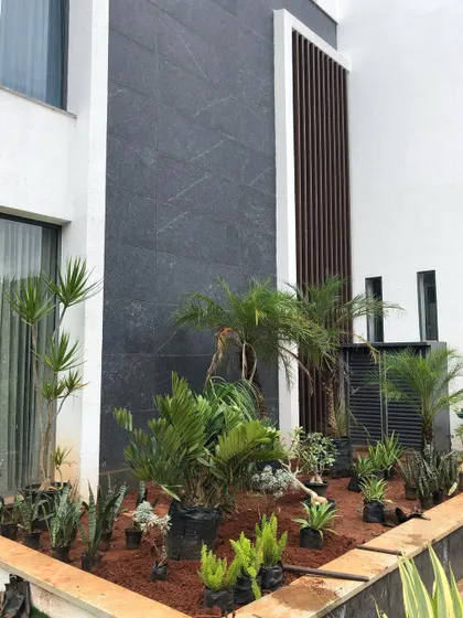 The 'during' phase of a dry rock garden installation. Here, we are carefully placing each plant, considering its future growth and relationship with the others.