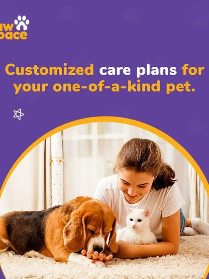We know every pet is unique. That's why we work with you to create customized care plans that cater to your pet's specific diet, routine, and personality.