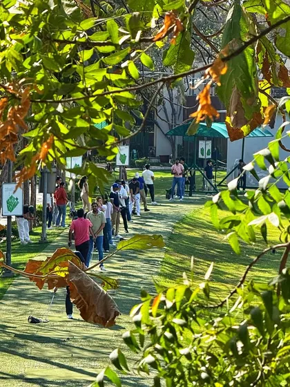 A creative shot of the busy range viewed through the leaves, highlighting the green, natural setting.