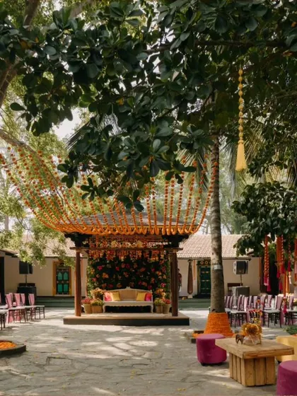 A wide view of the Haldi venue, showing the stage, guest seating, and the trees draped with marigold strings.