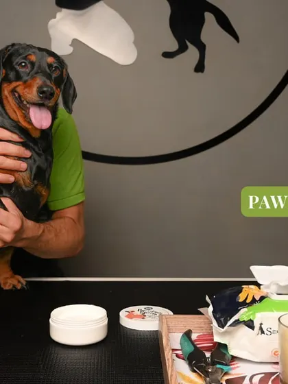 The setup for our pawdicure service includes nail grinders, moisturizers, and protective wax to keep your pet's paws healthy for city walking.