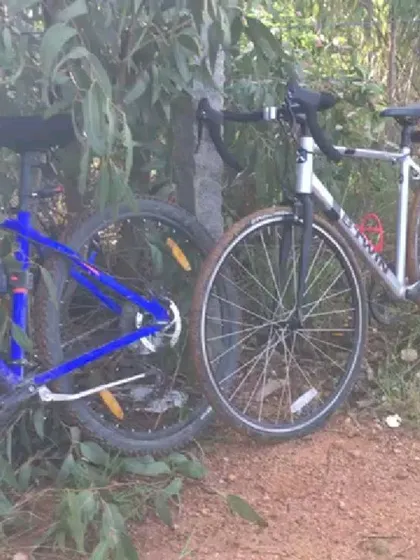 A mountain bike and a road bike resting together in the woods. Our group is a mix of all kinds of cyclists and bikes.