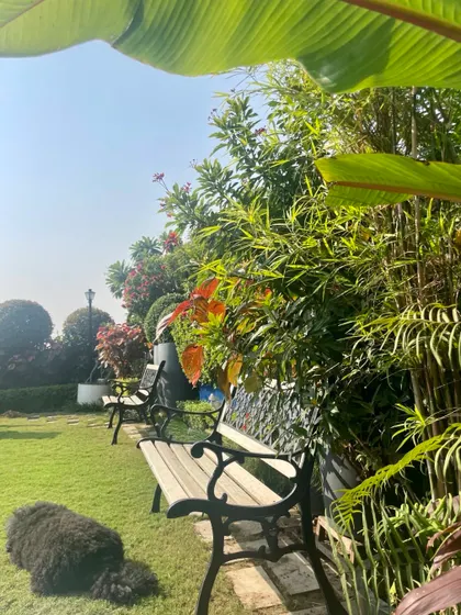 Nothing is better than sunbathing on a rooftop during winter. My dog Gabru is enjoying the warmth on the lawn, with a comfortable bench and lush greenery in the background.