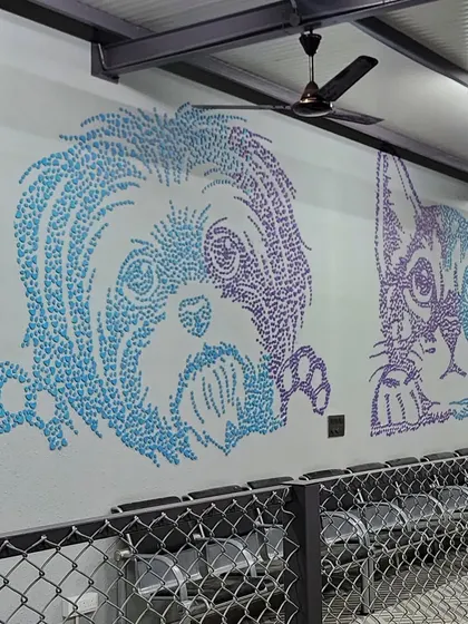A view of the Chasing Tails mural from the entrance. The large-scale artwork immediately establishes a pet-friendly and creative atmosphere for clients entering the facility.