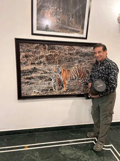 It's an honor to see my work displayed at our home away from home, the Ranthambore Regency. This large print of a mother and cub is a moment I'm proud to share.
