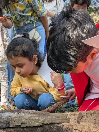 Crouching down to get a closer look, these young explorers investigate the forest floor. This is where the real treasures are found, from tiny insects to interesting seed pods.