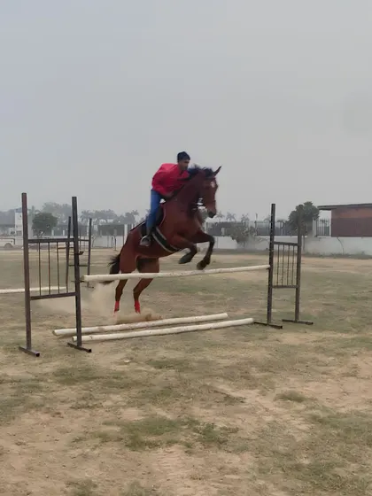 A rider in a red jacket mid-flight over a vertical jump. This action shot captures the peak of a successful jump, a result of consistent practice and expert coaching.