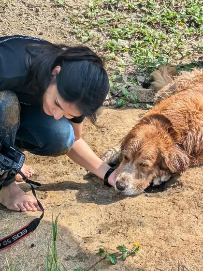 The session may be over, but the connection remains. Our photographer shares a final, gentle moment with Whiskey, who rested his head in her hands. These are the moments we live for.
