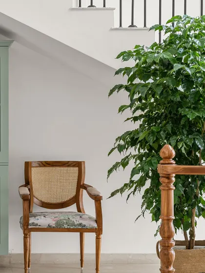 A quiet corner where calm meets character. The sage green cabinet, classic cane chair, and lush green plant create a serene and balanced composition.