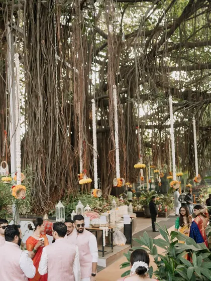 A wider view of the banyan tree decor, showing how we transformed the entire area into an enchanting space for a wedding ceremony.