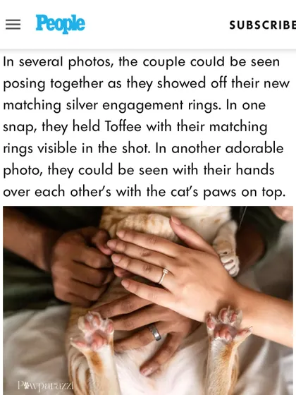 A screenshot from the People Magazine article, showing the adorable shot of the couple's hands over Toffee's belly, with his little paws on top. It's all in the details!