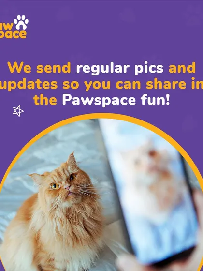 Stay connected to your pet no matter where you are. We send you regular pictures and updates so you can see all the fun they're having with us.
