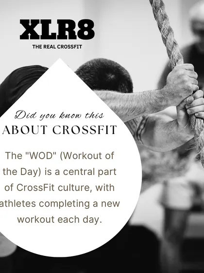 The "WOD" (Workout of the Day) is a central part of our culture. It means a new challenge every day, so you never get bored.