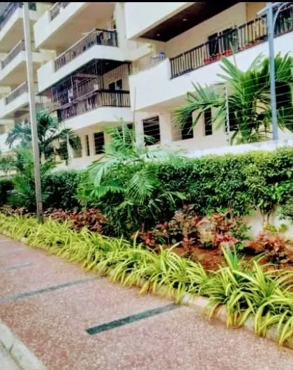 Another view of our landscaping work for the Hyderabad apartment building, showing how we use a mix of plants to create a green buffer along the pathway.