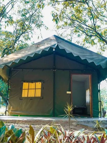 For a more rustic experience, we offer Swiss cottages nestled among the trees. These provide a comfortable yet close-to-nature stay for smaller groups or team leaders.