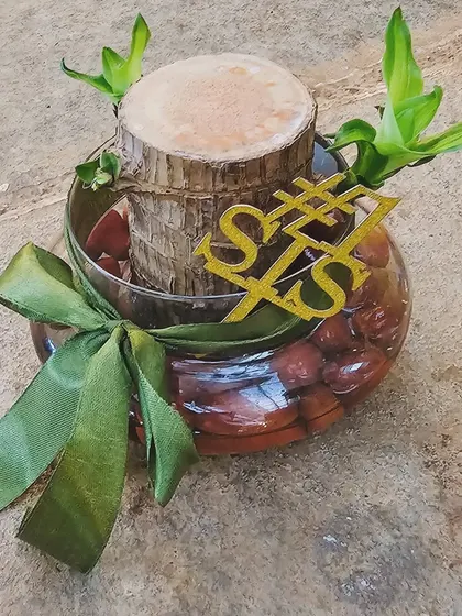 Gift your loved ones the magic of nature this Raksha Bandhan. This Brazilian Wood plant, also known as Lucky Wood, is a thoughtful and enduring gift of good fortune.