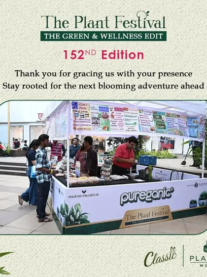 The Pureganic stall, offering natural and traditional wellness products. Our festival's "Green & Wellness" theme attracts an audience specifically looking for organic and healthy lifestyle products.