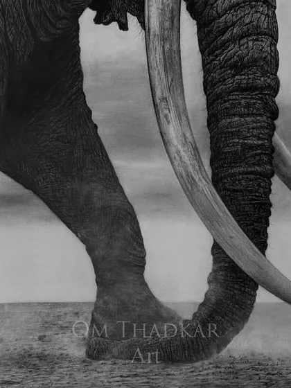 Titled 'Endurance', this 30 by 48 inch charcoal piece focuses on an elephant's legs, trunk, and tusks. It's a statement on resilience and power, finding strength in simplicity.