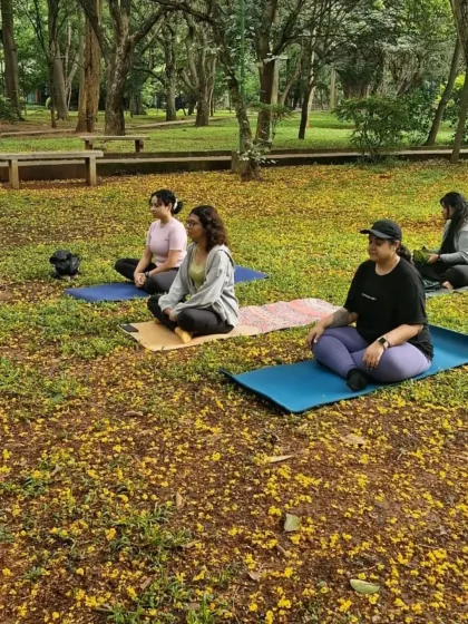 Participants meditating during our weekend yoga session in the park. It's a wonderful experience to guide people in such a serene, natural environment.