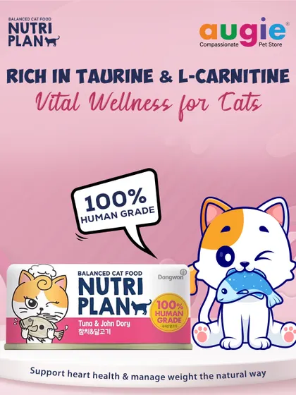 This Nutriplan wet food features a delicious blend of Tuna and John Dory, a premium white-fleshed fish. It's 100% human-grade and contains L-Carnitine to help manage weight, making it a healthy choice for your cat.