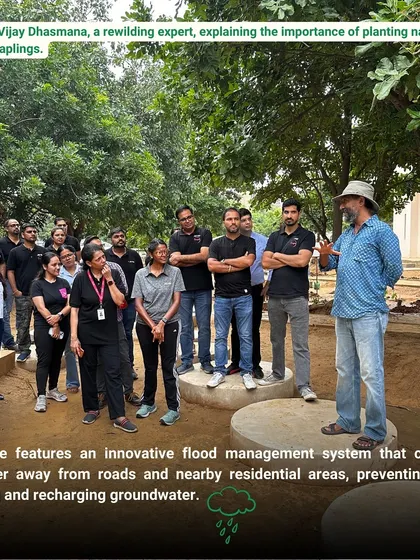 Our rewilding expert, Vijay Dhasmana, explains the importance of planting native Aravali saplings to the attentive team from Osttra.