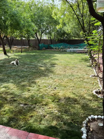 Another view of the spacious Noida lawn, providing a safe and beautiful area for family and pets to enjoy.