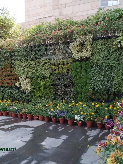 A new vertical garden wall at a restaurant. This large-scale installation transforms the outdoor dining experience into a vibrant green haven in the heart of the city.